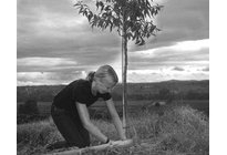 Abbildung: Weingut B. Öhlzelt & K. Schwillinsky